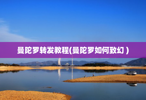 曼陀罗转发教程(曼陀罗如何致幻 )