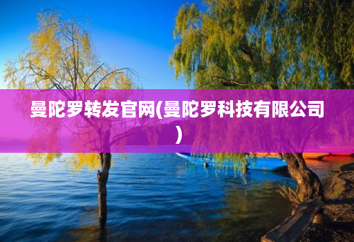 曼陀罗转发官网(曼陀罗科技有限公司 )