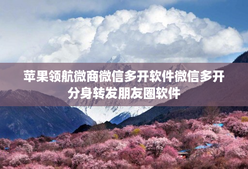 苹果领航微商微信多开软件微信多开分身转发朋友圈软件