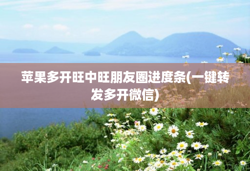 苹果多开旺中旺朋友圈进度条(一键转发多开微信)