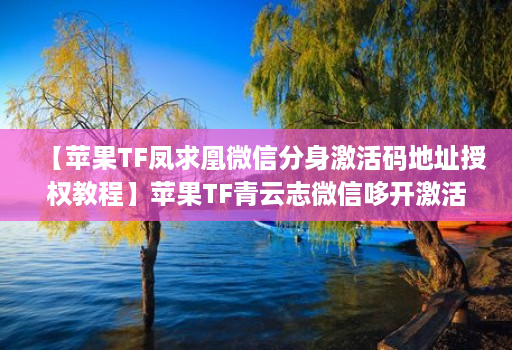 【苹果TF凤求凰微信分身激活码地址授权教程】苹果TF青云志微信哆开激活码地址授权教程
