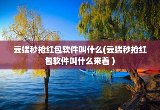 云端秒抢红包软件叫什么(云端秒抢红包软件叫什么来着 )