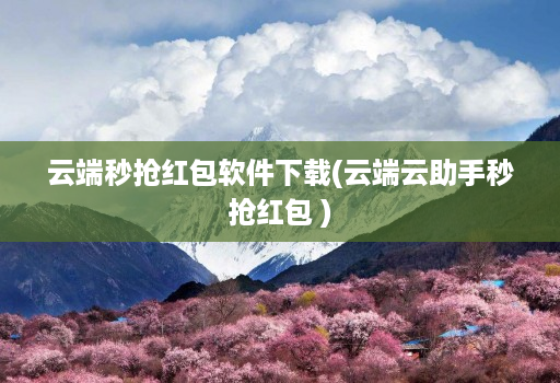 云端秒抢红包软件下载(云端云助手秒抢红包 )