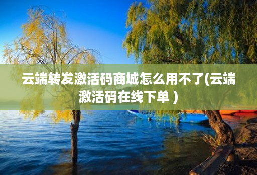 云端转发激活码商城怎么用不了(云端激活码在线下单 )