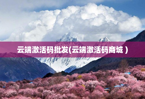 云端激活码批发(云端激活码商城 )