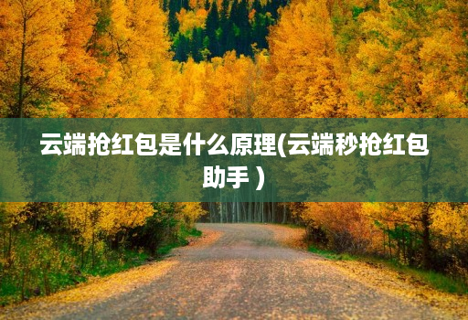 云端抢红包是什么原理(云端秒抢红包助手 )