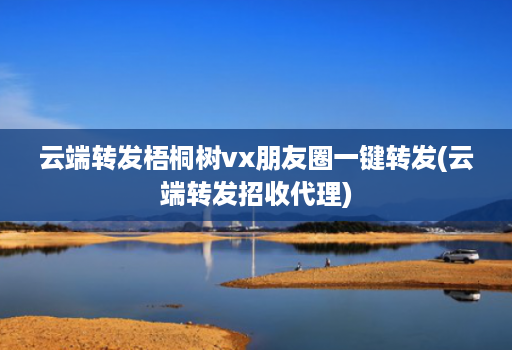 云端转发梧桐树vx朋友圈一键转发(云端转发招收代理)