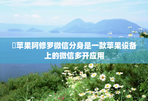 苹果阿修罗微信分身是一款苹果设备上的微信多开应用