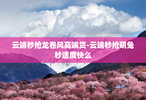 云端秒抢龙卷风高端货-云端秒抢萌兔秒速度快么