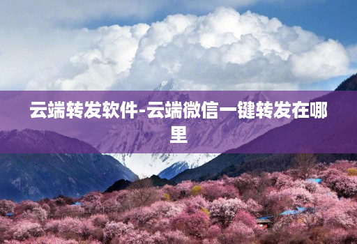 云端转发软件-云端微信一键转发在哪里