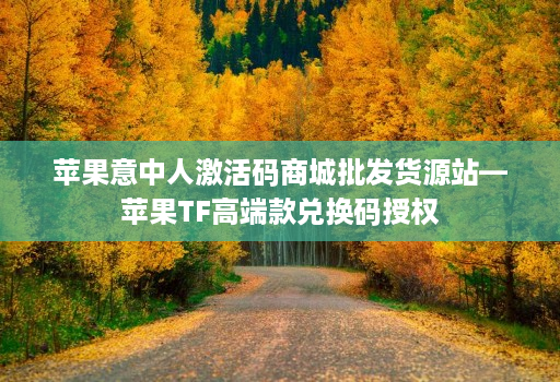 苹果意中人激活码商城批发货源站—苹果TF高端款兑换码授权