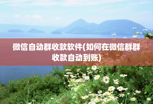 微信自动群收款软件(如何在微信群群收款自动到账)