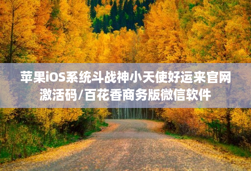 苹果iOS系统斗战神小天使好运来官网激活码/百花香商务版微信软件