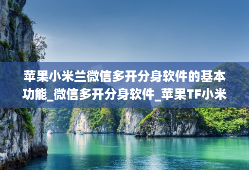 苹果小米兰微信多开分身软件的基本功能_微信多开分身软件_苹果TF小米兰官网