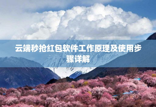 云端秒抢红包软件工作原理及使用步骤详解