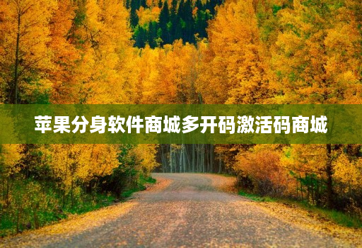 苹果分身软件商城多开码激活码商城
