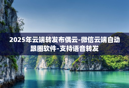 2025年云端转发布偶云-微信云端自动跟圈软件-支持语音转发