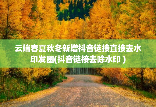 云端春夏秋冬新增抖音链接直接去水印发圈(抖音链接去除水印 )