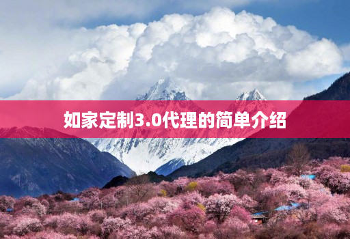 如家定制3.0代理的简单介绍