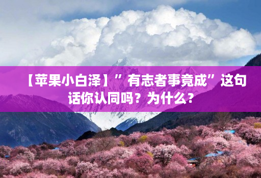【苹果小白泽】”有志者事竟成”这句话你认同吗?为什么?