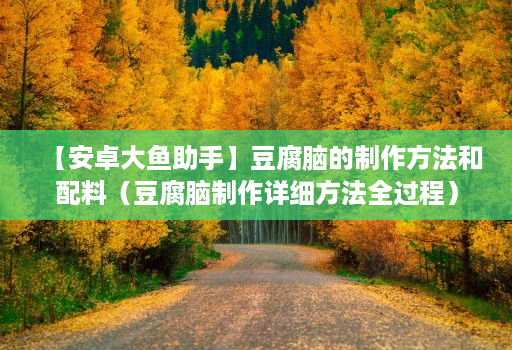 【安卓大鱼助手】豆腐脑的制作方法和配料(豆腐脑制作详细方法全过程)