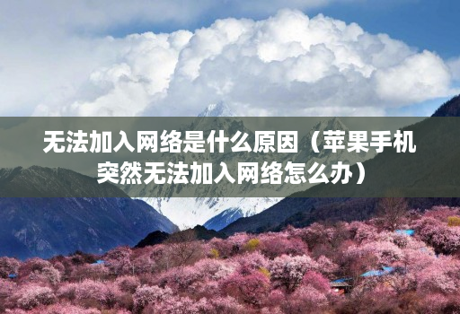 无法加入网络是什么原因(苹果手机突然无法加入网络怎么办)