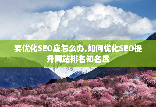 要优化SEO应怎么办,如何优化SEO提升网站排名知名度