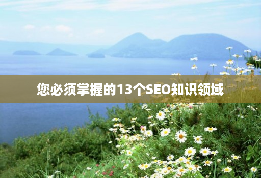 您必须掌握的13个SEO知识领域