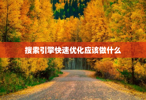 搜索引擎快速优化应该做什么