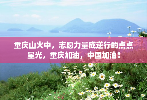 重庆山火中,志愿力量成逆行的点点星光,重庆加油,中国加油!