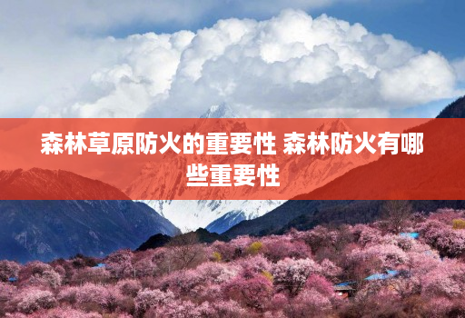 森林草原防火的重要性 森林防火有哪些重要性