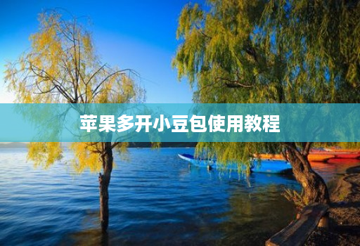 苹果多开小豆包使用教程
