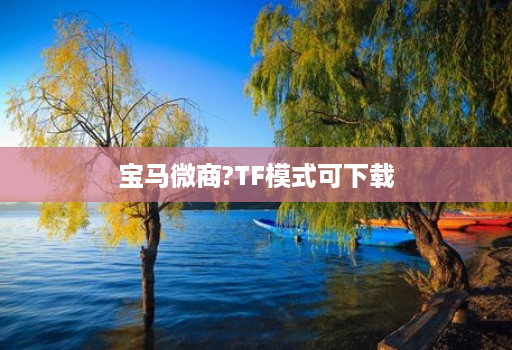 宝马微商?TF模式可下载