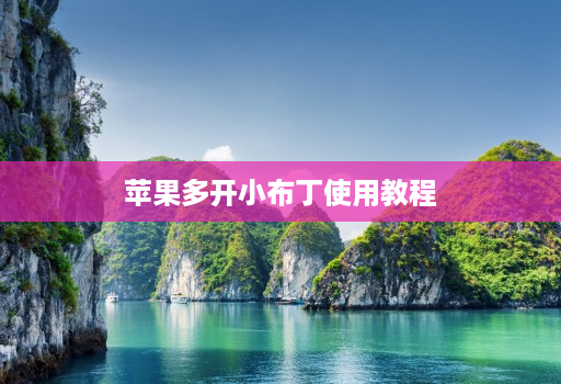 苹果多开小布丁使用教程