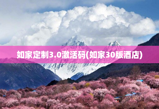 如家定制3.0激活码(如家30版酒店)