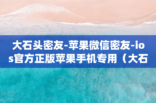 苹果大石头密友-苹果微信密友-ios官方正版苹果手机专用(大石头密友分身)