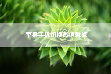 苹果手机切换微信就掉 苹果可以双开微信么?
