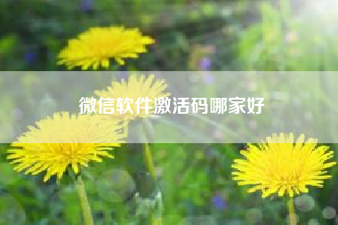 微信软件激活码哪家好,客源神器得激活码怎么弄,有什么好的软件可以加入(微信)? 微信软件激活码哪家好,客源神器得激活码怎么弄,有什么好的软件可以加入(微信)?